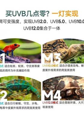 龙VBOX爬宠-UBVLED灯鬃狮变tlznu+$*色陆龟灯具水龟发色