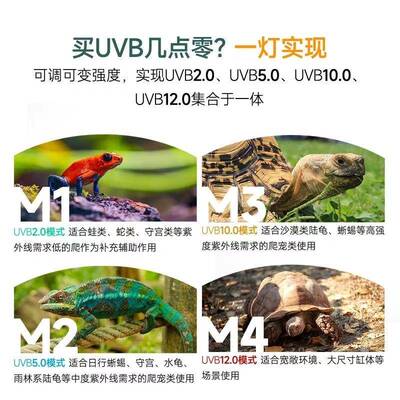 龙VBOX爬宠-UBVLED灯鬃狮变tlznu+$*色陆龟灯具水龟发色