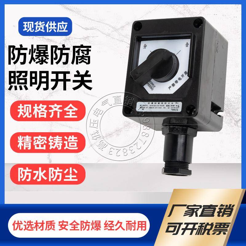 BZM8050防爆防腐照明开关10A 220V单联双联单控双切控制箱ZXF8030