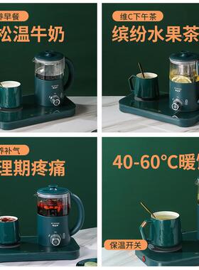 龙养生壶家能用多功力36684全自煮动办公室mini小型玻璃茶器花茶