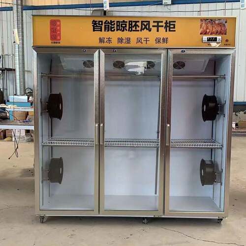 烤风干柜机智能晾鸭柜鸭烧风干烧鹅烧腊通用款晾胚柜风鸭冷晾鸭风