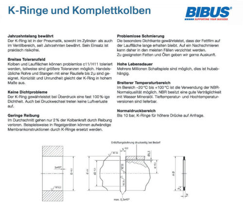 BIBUS AG K型密封圈K-Ringe   KA-45  N890/45  45-32.5-3.0