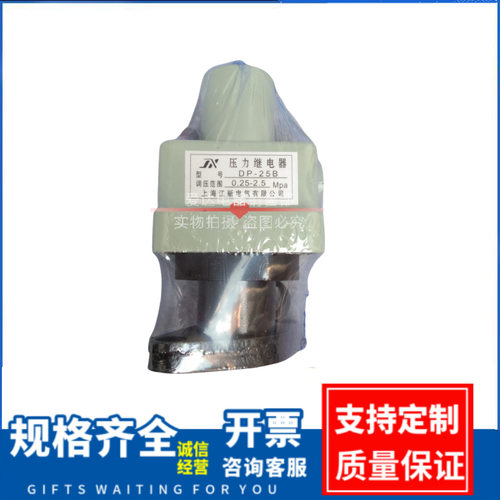 压力继电器DP-25B10B40B63B压力你继电器DP-210A40A63A