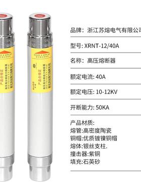 12KV高压高分段限流断器AXRNT-100KV/1A熔15416240A环网柜熔管