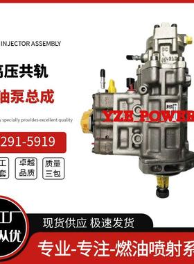 2915稳9质19喷油291-5919泵总成10R-766-02641A306电商优定耐用