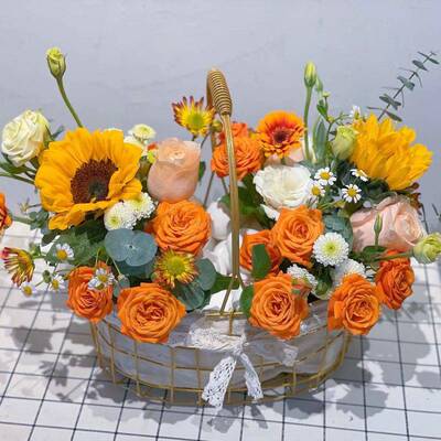 蓝子提水果艺花篮金属编花盆水果篮鸡蛋篮P5mpO+uP子藤编手织铁插