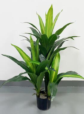 仿真植CR-BXT巴物铁盆栽绿植装饰盆景Simulatio西ngreenplant