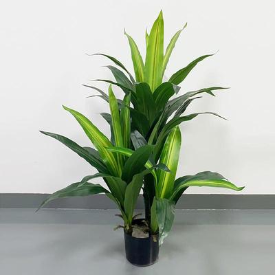 仿真植CR-BXT巴物铁盆栽绿植装饰盆景Simulatio西ngreenplant