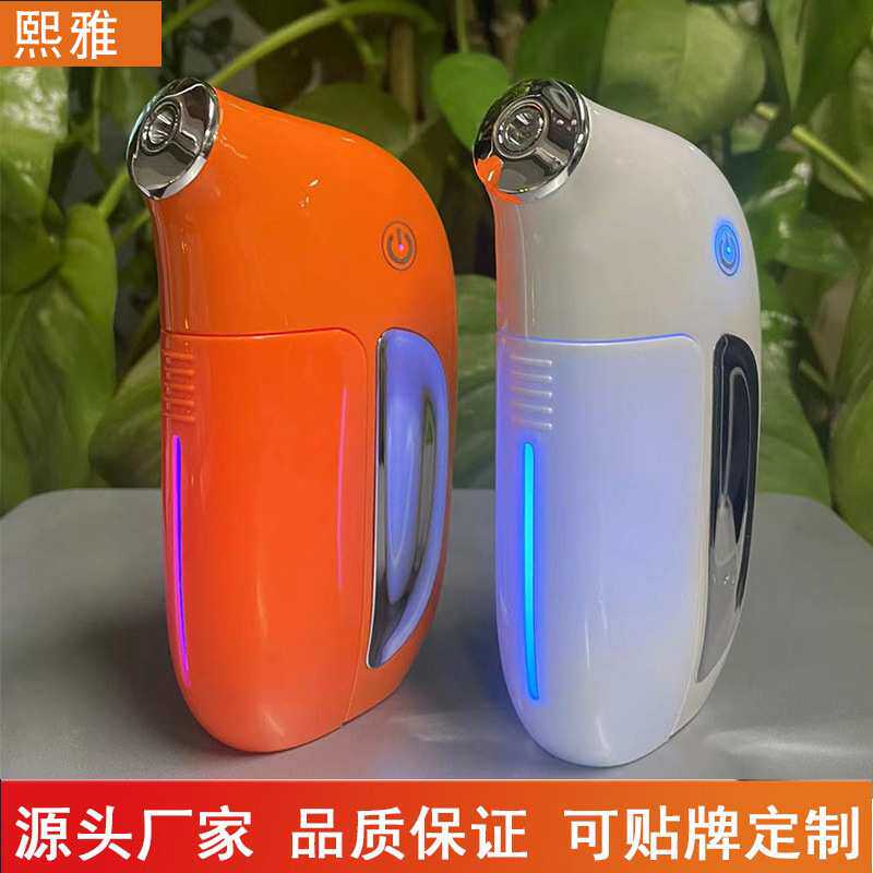 注氧仪脸部家用高压喷雾器导入精华注氧补水仪厂家 水光注氧仪