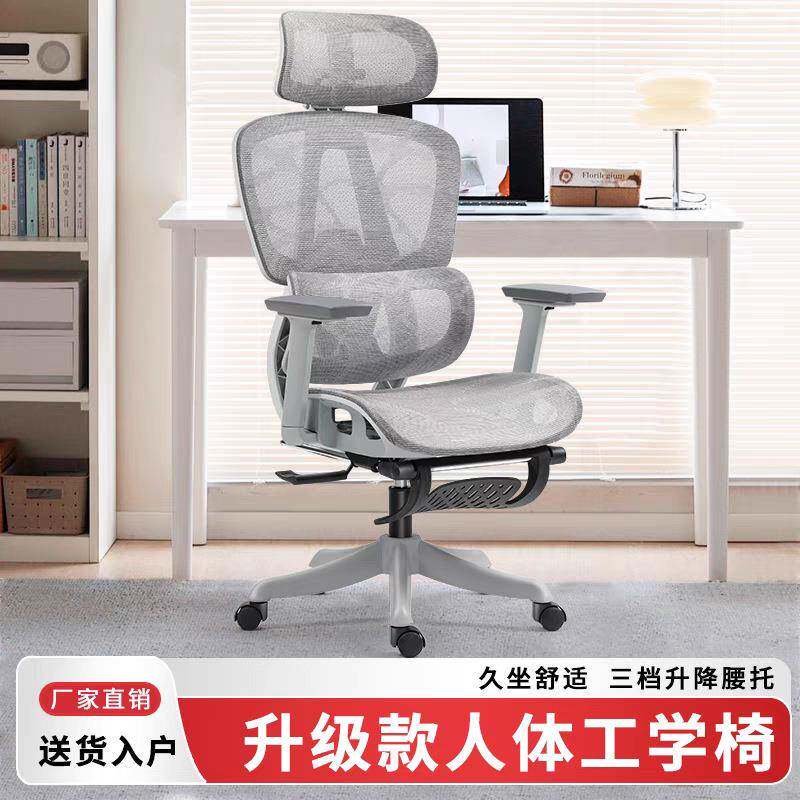 家用办公电脑椅人体工学设计护腰透气靠背舒适久坐学习电竞老板椅
