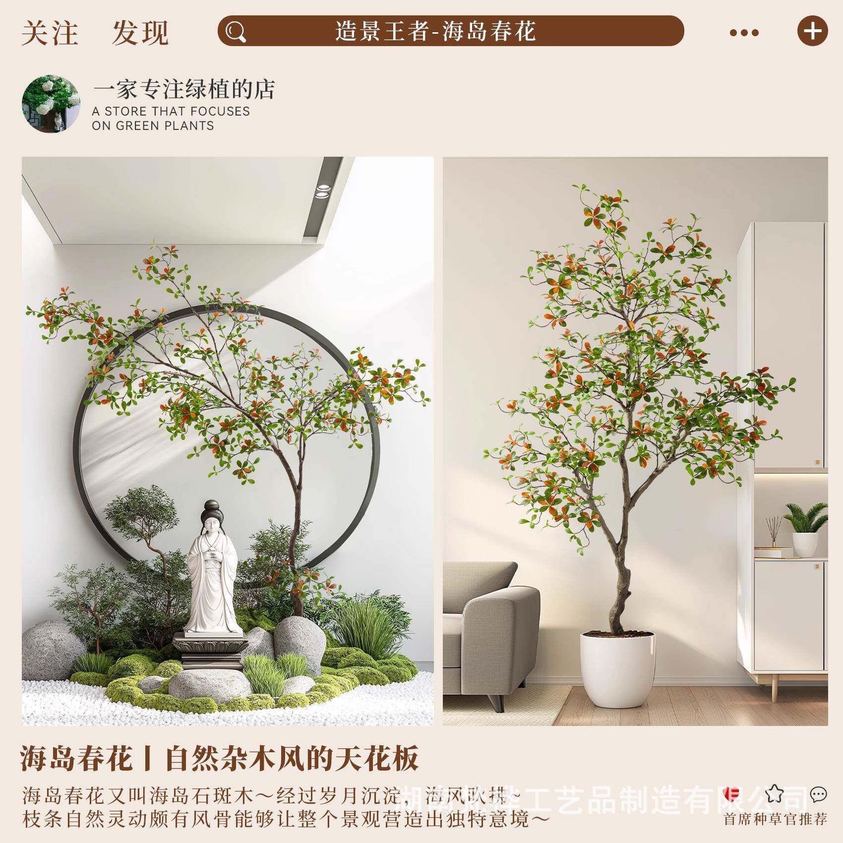 海岛春花精品绿植造窗树海岛春花景橱植物室内简仿真榕装饰大型假