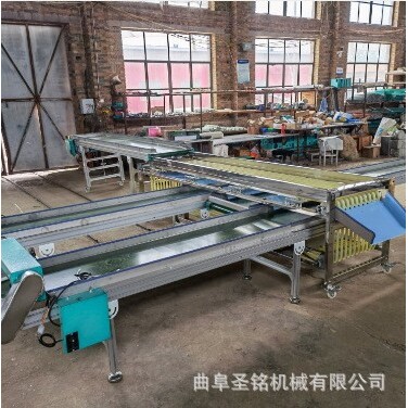 大型轨道式桃子殷桃龙眼分选机 大蒜分级机柠檬沃柑分选