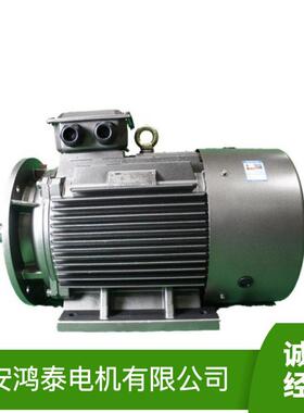 鸿泰一级能效同步电机TYP5-250M1-8t45KW380V噪音低性能可靠