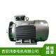 鸿泰一级能效同步电机TYP5 250M1 8t45KW380V噪音低性能可靠