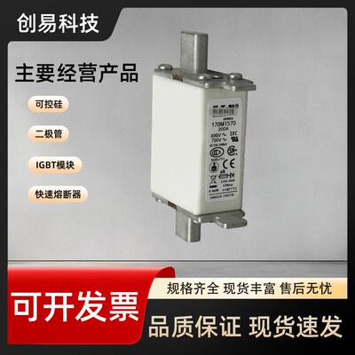 170M1568170M1569170M1570170M1571170M1572熔断器170M系列