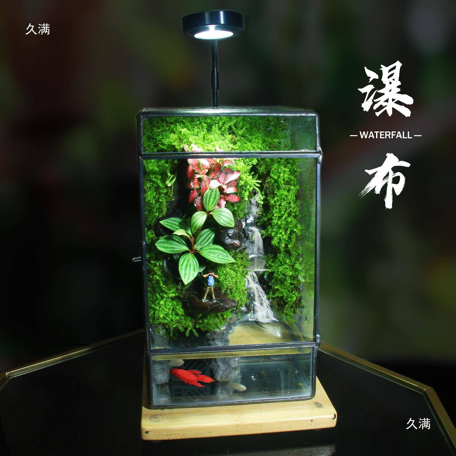 创意室内盆栽植物苔藓微景观瓶造景迷你雨林缸爬宠缸流水养鱼