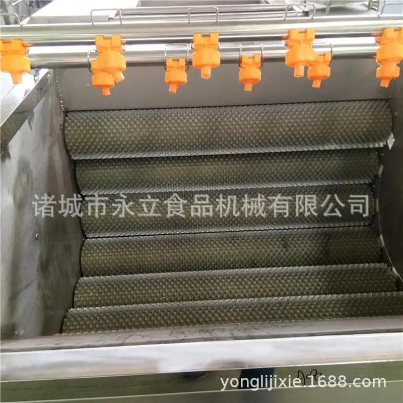 果蔬辊菜毛去流皮清洗机毛刷土脱皮水线豆小型清DUT洗设备