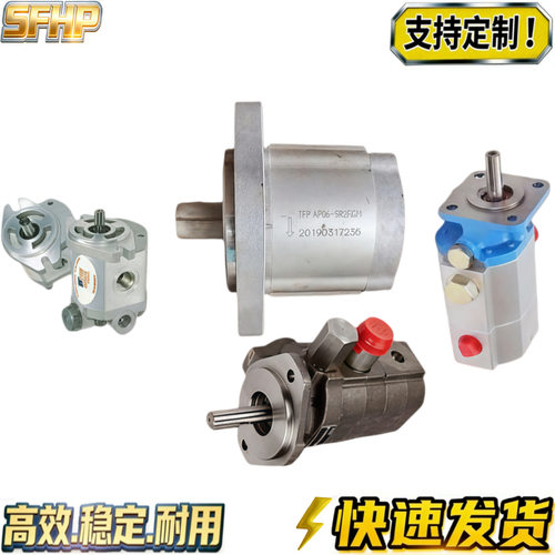 美国IFP齿轮泵A AP AM 25 20 06 10 14 16 -SR2PK71 SR2FK71液压
