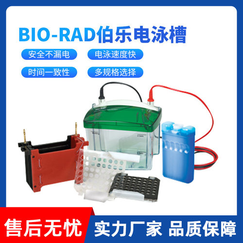 伯乐电泳槽一级 美国伯乐BIORAD垂直电泳槽电泳仪转印槽蛋白槽