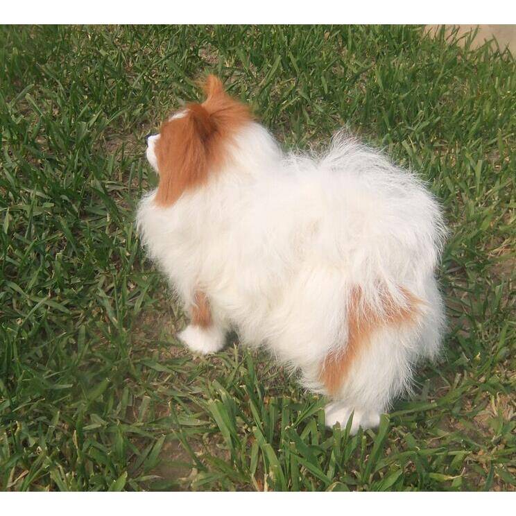 现货GPD仿真家居摆件创桌面装饰品蝴狗意蝶犬模型博美犬