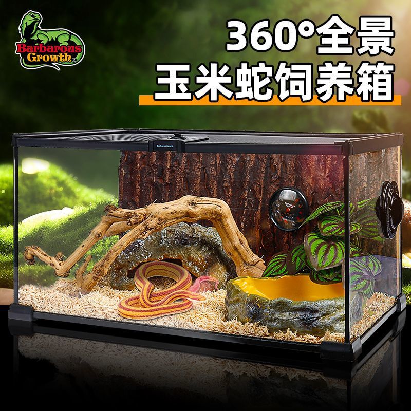 超白玻璃爬宠生态缸多宠通用