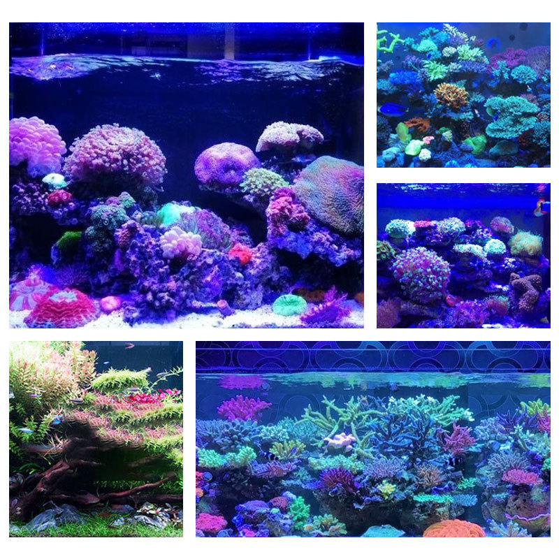 鱼缸灯8通道24小时智能定时
