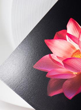 干式彩防水相纸RC绒面HPJD700/D880/口D1X00用纸进原纸扩直销