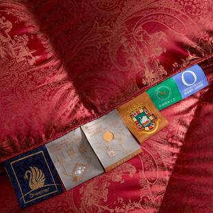 匈牙利羽绒被95白子鹅绒被被冬天纯棉加厚鹅绒冬芯YQN-5酒双人春