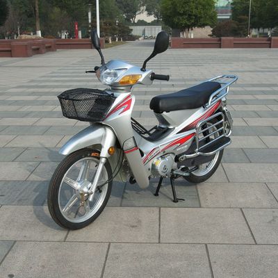 全新弯梁车110cc.125CC摩托车,燃油车国三,国四都有