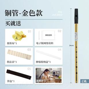 高档调NAOMI爱尔兰哨笛 C调D学高音直6笛孔初竖笛 美国品牌