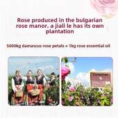 高档佳美乐玫精华瑰护油10ml面部饱肤提亮身体按摩保加利亚红 满