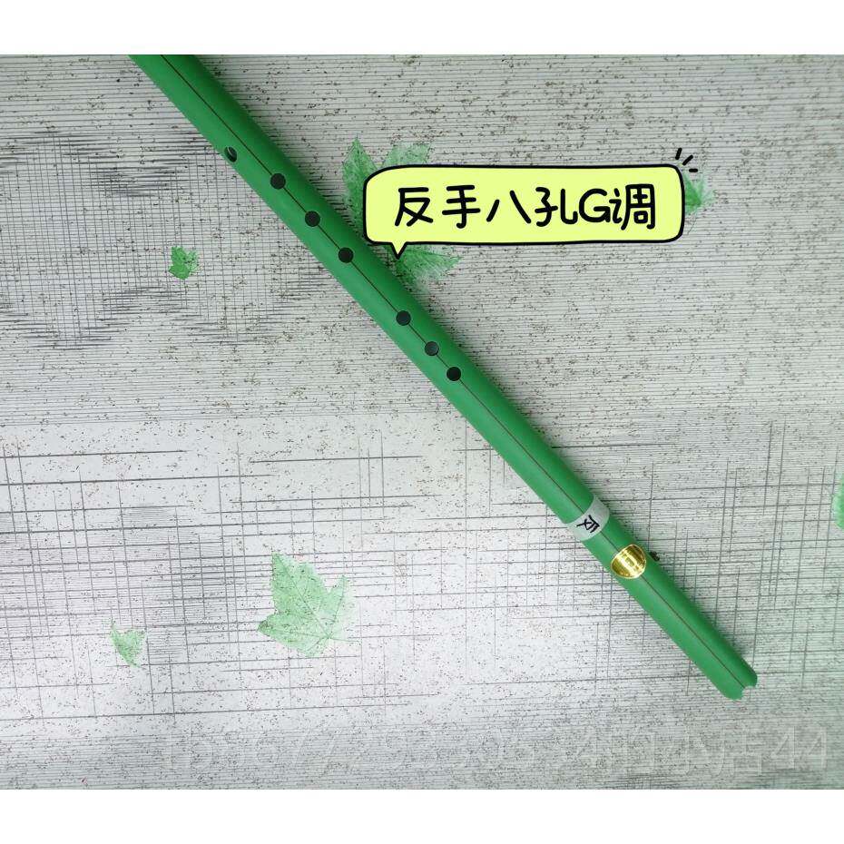 高档彩色水身管洞箫长箫EFGA调反创手带正盖箫初学防百竹奇声新乐