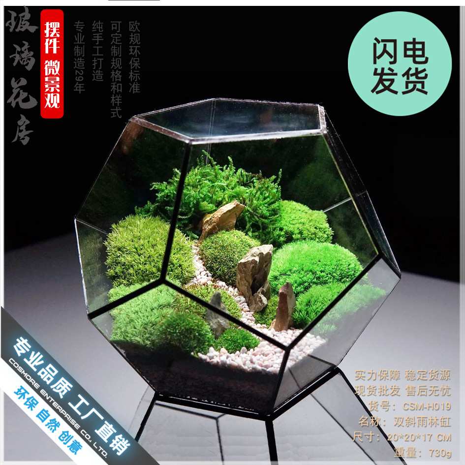 厂家直销爆款十二面体大玻璃花房绿植透明创意苔藓微景观多肉花盆
