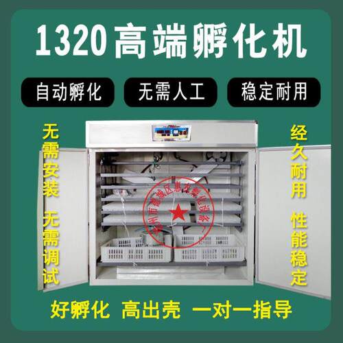 高端大型卵化房自动加水浮蛋箱家用中型浮化设备全自动孵蛋机新款