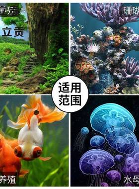 立贡鱼LGL-CH系缸冷水机小恒型迷你冷静音水族暖专用机水冷珊瑚水