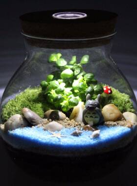 苔藓微tz-20181景观盆创意栽礼品件苔藓生态瓶瓶13.5木摆塞带灯套