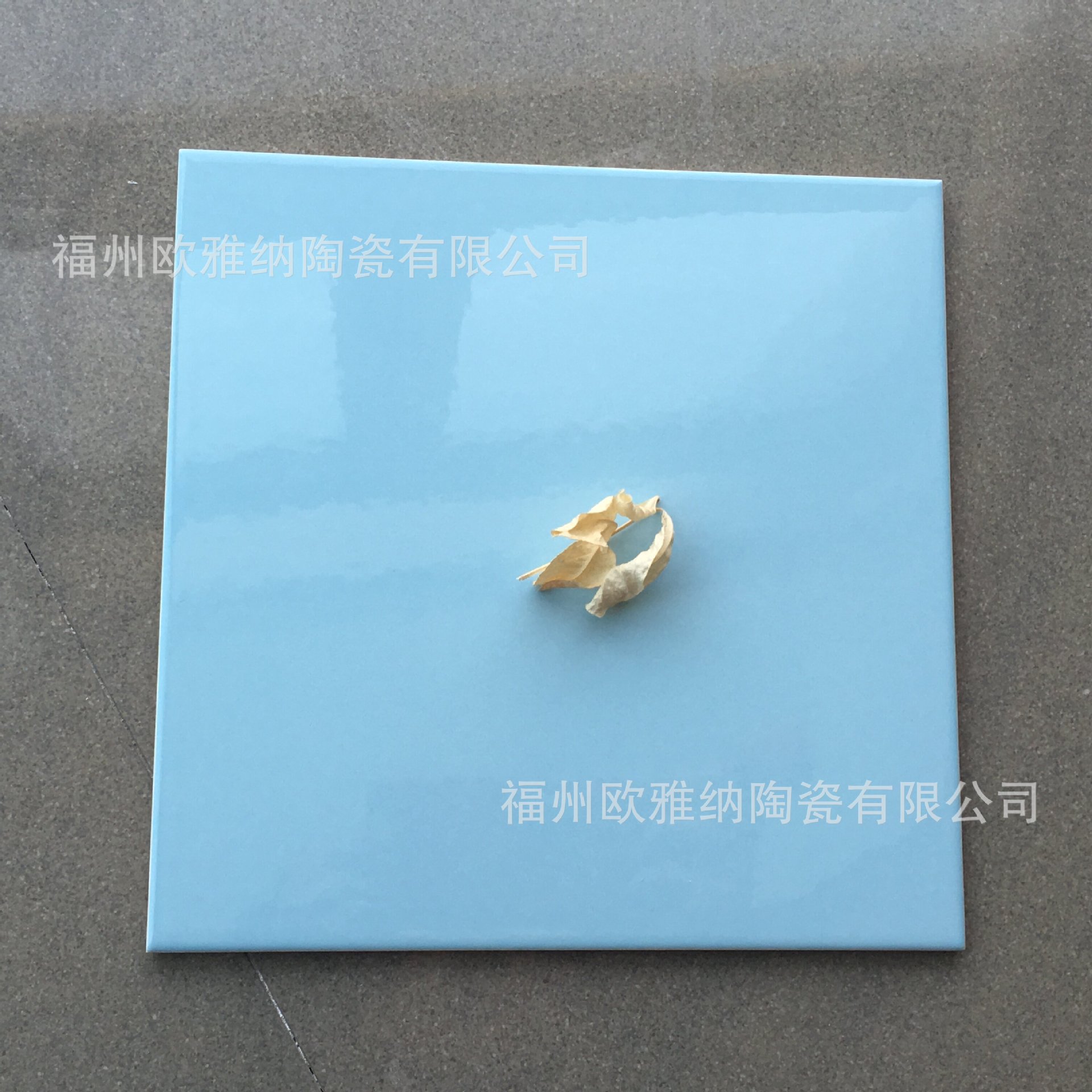 优等200*200不透水浅蓝内墙砖