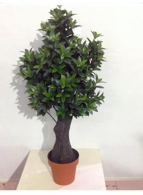 仿真发财树lj200发财树盆栽发财树景盆客装饰厅塑料财发树