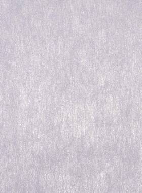 1纺030H衬纸3上0克无没有胶衬俗KSI称生朴薄