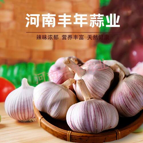 丰年农家大蒜头干蒜紫白皮新干蒜种籽新鲜蔬菜农家新大蒜头