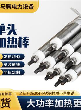 310s不锈钢单头加热棒非标可定电热棒模具单端加热加热器电热管