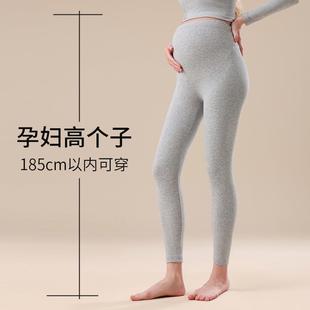 高个子孕妇秋裤女孕中晚期不勒肚子纯棉打底衬裤加长版保暖裤线裤