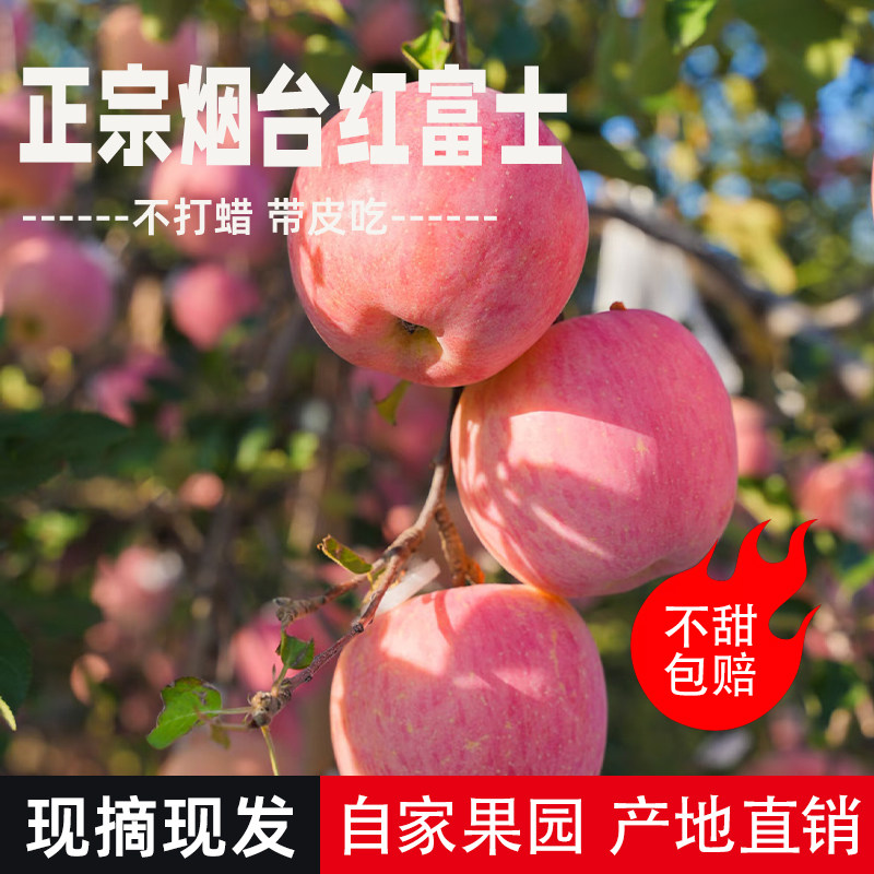 农家自种红富士脆甜爆汁当季现发
