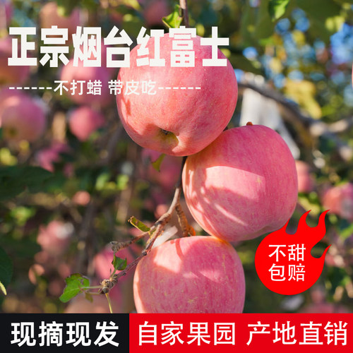 农家自种红富士脆甜爆汁当季现发