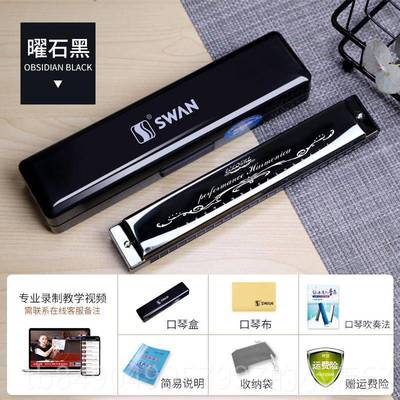 高档鹅天口琴24孔28孔复音C调正品初学者演入门儿专童男士业奏乐