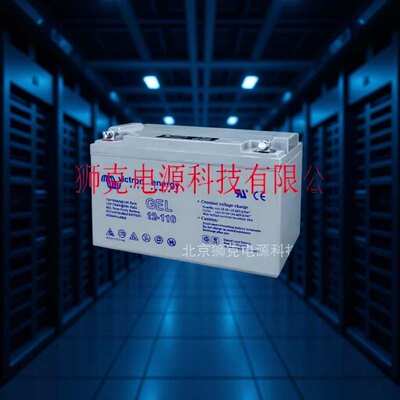 BAT412101104 Victron 胶体电池 12V110AH