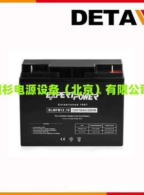 德国EXPERTPOWER蓄电池EXP1290免维护  12V9AH应急铅酸电源