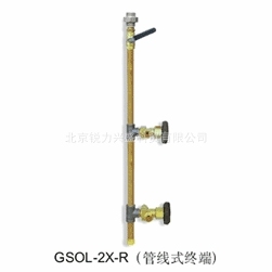 捷锐气体汇流排管线式终端GSOL-2X-R管线式终端捷锐气体终端
