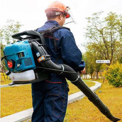 公汽园路除力尘吹雪机背负式风灭火机道什EB850威尔EB马850油吹风