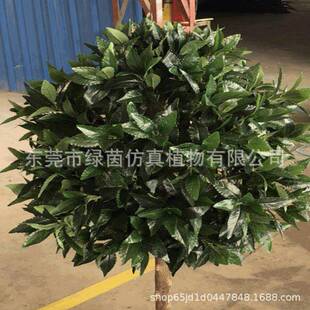 仿真居月植桂树盆景80/120/150cm家办公园造QAT景绿落地摆件林厂